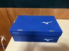 バレーボールシューズ24.0