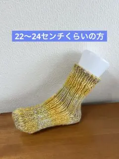 No.51 ハンドメイド　猪谷さんの靴下(少し厚めタイプ)