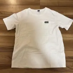 AVIREX ホワイト Tシャツ XL