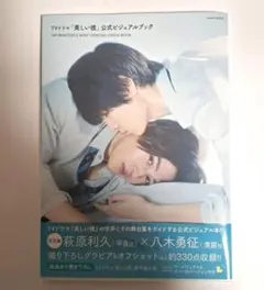 TVドラマ「美しい彼」公式ビジュアルブック