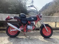 HONDA エイプ50　fi 原付のサムネイル