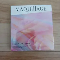 マキアージュ✨カスタマイズアイカラーアソート✨EX01✨キャメルマーブルアソート