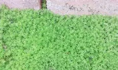 user_ad6dc533様 リクエスト 2点 まとめ商品