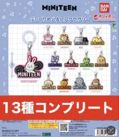 MINITEEN ぷっくりめじるしアクセサリー　13 種コンプリートセット