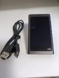 Item thumbnail for item 8cb0aaa4-92c2-482a-9414-f25c62cddcad