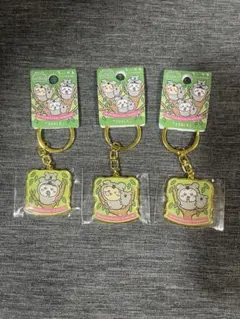 ちいかわ コアラ オーストラリア 限定 ご当地 キーホルダー