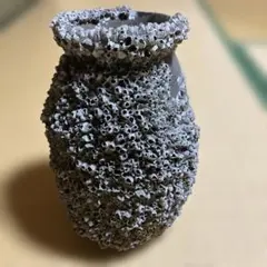 2025年最新】蛸壺の人気アイテム - メルカリ