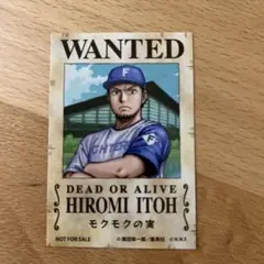 日本ハムファイターズ　伊藤大海　ONE PIECE 手配書ステッカー