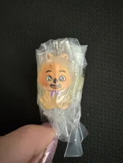 straykids skyzoo めじるしアクセサリー HAN QUOKKA