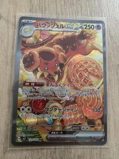 バウッツェル　PSA10 SAR ステラミラクル　値下げ交渉可 バウッツェル PSA10 SAR ステラミラクル 値下げ交渉可 - メルカリ