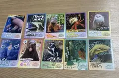 レアなし】鳥羽水族館 コレクションカードvol.2 ノーマル コンプ