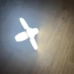 LEDライト 電球 白色光