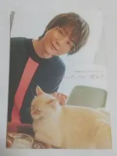 河西健吾 40th アニバーサリーブックパンパンですが、何か？