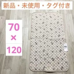 Item thumbnail for item 87489676-0383-4518-894d-81d8756ad18e