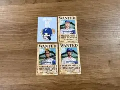 北海道日本ハムファイターズ　ワンピース