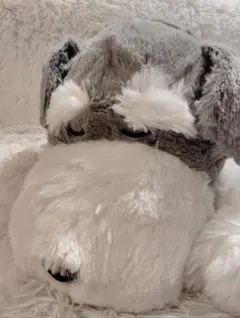 ぽっきー様 リクエスト 2点 まとめ商品