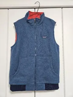 2026年最新】patagonia ナイロンベストの人気アイテム - メルカリ