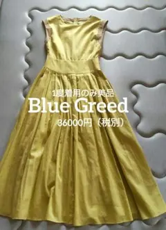 ご専用美品♡Blue Greed♡コットンロングワンピースMのサムネイル