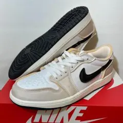 NIKE AIR JORDAN 1 RETRO OG EX 27.5cm