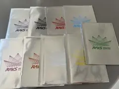 SnowMan チケット風カード　RAYS