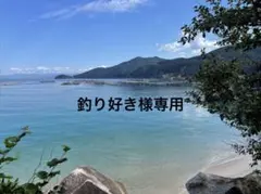 釣り好き様専用のサムネイル