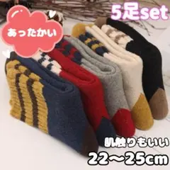 【５足セット】靴下 ソックス 暖かい 極暖 レディース あたたかい