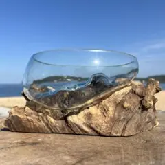流木ガラスオブジェB20E 花瓶 金魚鉢 ガーデニング テラリウム 観賞魚 容器