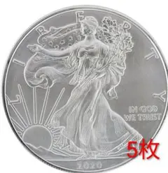 本物ウォーキングリバティ モルガンダラー その他5枚セット ケース付き 本物ウォーキングリバティ モルガンダラー その他5枚セット