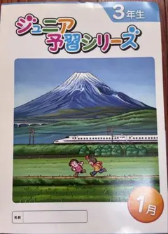 2025年最新】ジュニア予習シリーズ 3年の人気アイテム - メルカリ
