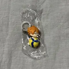 ハイキュー　日向翔陽　めじるしますこっと