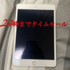 apple ipad mini