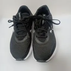 Item thumbnail for item 03100bb6-d48c-40d2-a804-0dfde67150ef