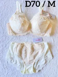 レッドレーベル バイ トリンプ 0089 D70 ブラジャー＆ショーツ M