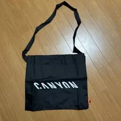 Item thumbnail for item d15e705a-7c8a-45c9-8c7f-97bdff50ca9e