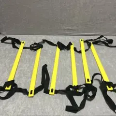 PolySky トレーニングラダー イエロー