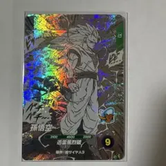 ドラゴンボール　スーパーダイバーズ　GDR APT006