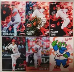 プロ野球チップス2025 第2段 広島東洋カープ 矢野雅哉 箔押しサイン