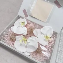 胡蝶蘭 髪飾り 水引 金箔 和装ヘア 白無垢 前撮り 結婚式 成人式