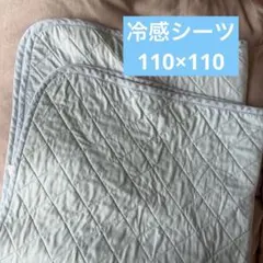 Item thumbnail for item f9a66831-81cc-42e2-ba81-0861f9de510f