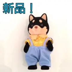 Item thumbnail for item 2a538874-205c-4ac6-a5bf-3a33ede98f71