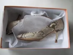 ファビオルスコーニ ヘビ柄のポインテッドトゥヒール パンプス