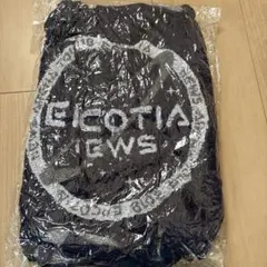 【新品未開封】NEWS EPCOTIA タオル