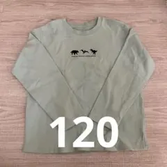 THE SHOP TK 恐竜 長袖Tシャツ 120