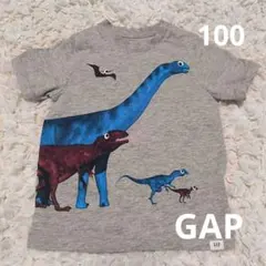 Item thumbnail for item f1837636-da06-43bf-afaa-dc2ab0a12232