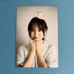 Item thumbnail for item 334e39ee-57a8-49bc-80bf-de3e5297ba13