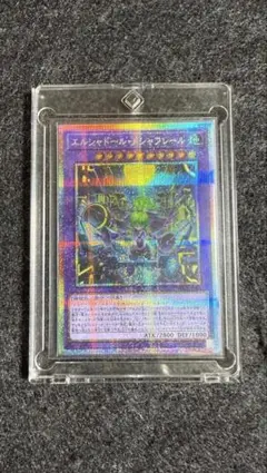 遊戯王 エルシャドール メシャフレール フィールドセンターカード 未開封 遊戯王 エルシャドール・メシャフレール フィールドセンターカード 未