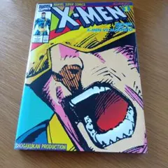 X-MEN 1 と 2のサムネイル