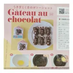 うさぎとくまのガトーショコラ 手作りキット シリコンモールド　cotta 送料込