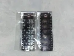 鬼滅の刃 クリアしおり 伊黒＆甘露寺 2点セット