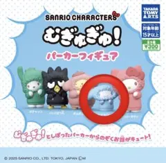 サンリオキャラクターズ むぎゅぎゅ！パーカーフィギュア シナモン2個